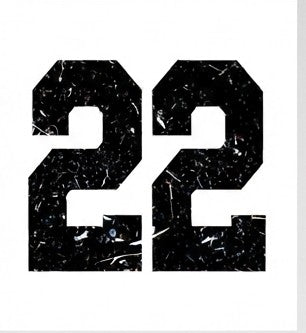 22 Print Only