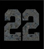 22 Print Only