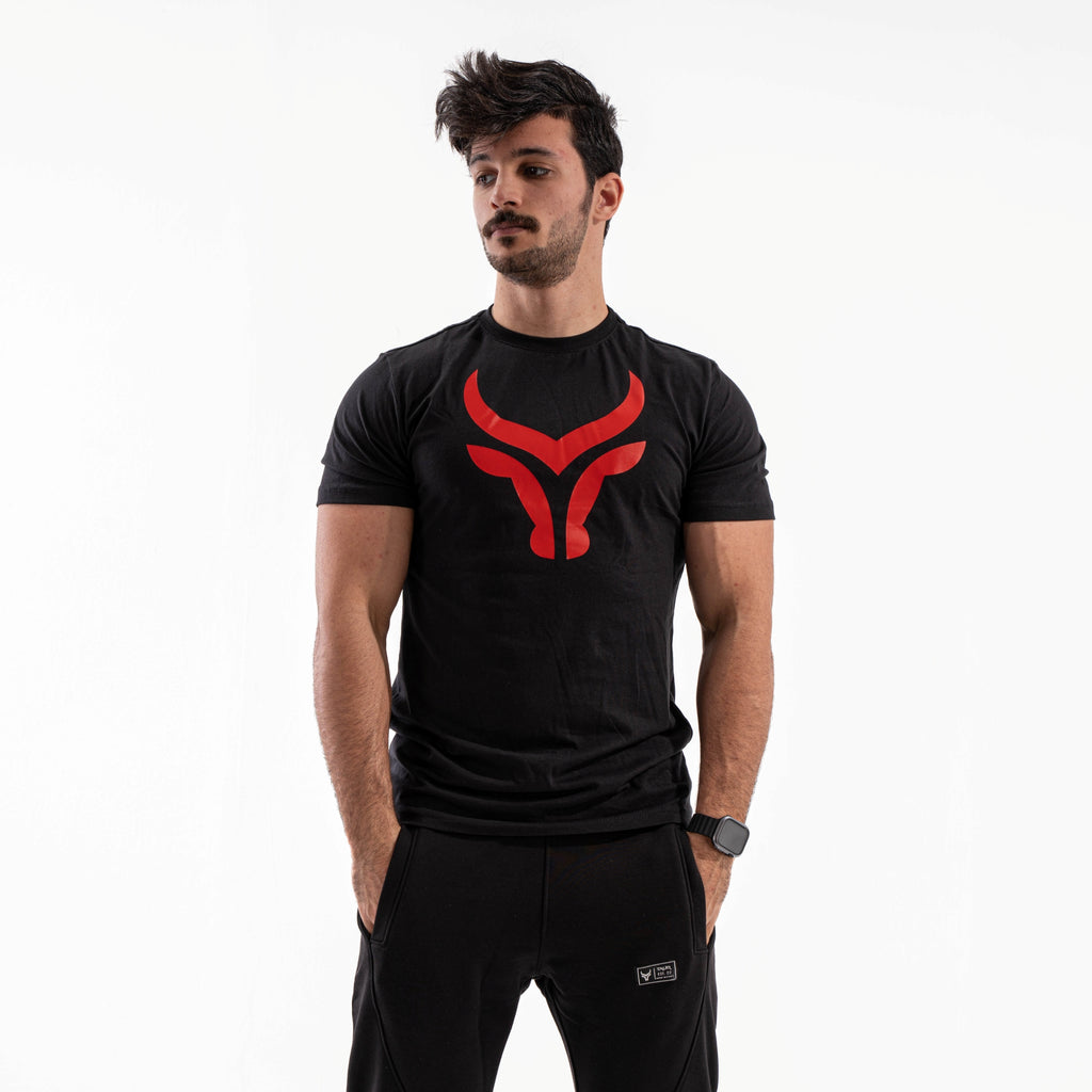 Functional V0.1 V2