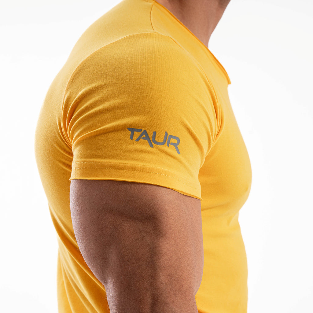 MuscleFit V0.1 V2-1