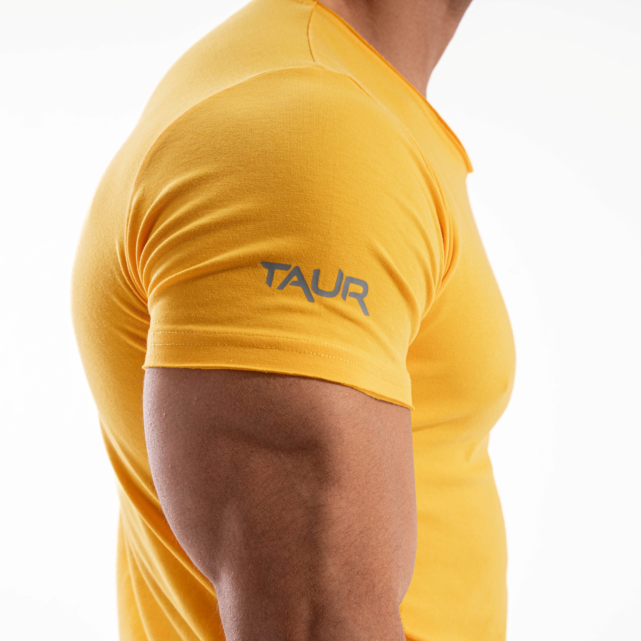 MuscleFit V0.1 V2-1